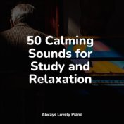 25 Calming Sounds for Study and Relaxation