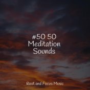 #50 50 Meditation Sounds