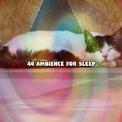 44 Ambience for Sleep