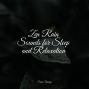 Zen Rain Sounds for Sleep and Relaxation