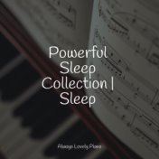 Powerful Sleep Collection | Sleep