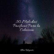 50 Melodías Pacíficas Para la Colección