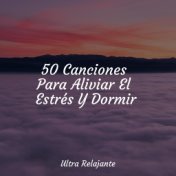 50 Canciones Para Aliviar El Estrés Y Dormir