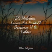 50 Melodías Tranquilas Para El Descanso Y la Calma