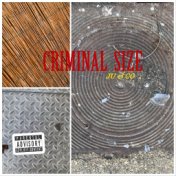 Criminal Size