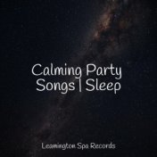 Calming Party Songs | Sleep