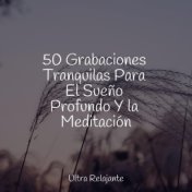 50 Grabaciones Tranquilas Para El Sueño Profundo Y la Meditación