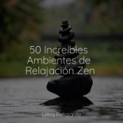 50 Increíbles Ambientes de Relajación Zen