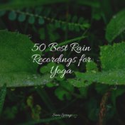 50 Best Rain Recordings for Yoga