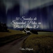50 Sonidos de Serenidad: Pistas en Bucle Para El Spa