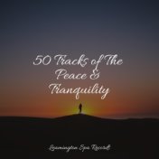 50 Tracks of The Peace & Tranquility