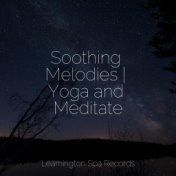 Soothing Melodies | Yoga and Meditate