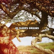 43 Sleeps Origins