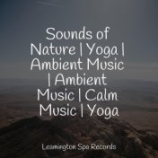 Sounds of Nature | Yoga | Ambient Music | Ambient Music | Calm Music | Yoga