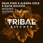 Missing (Alegra Cole Mix)