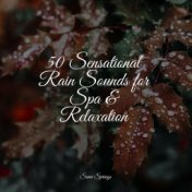 50 Sensational Rain Sounds for Spa & Relaxation