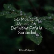 50 Música de Relajación Definitiva Para la Serenidad