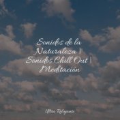 Sonidos de la Naturaleza | Sonidos Chill Out | Meditación