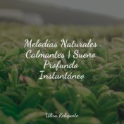 Melodías Naturales Calmantes | Sueño Profundo Instantáneo