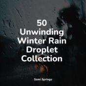 50 Unwinding Winter Rain Droplet Collection