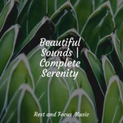 Beautiful Sounds | Complete Serenity