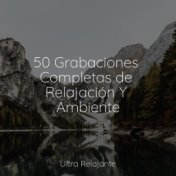 50 Grabaciones Completas de Relajación Y Ambiente