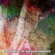 36 the Mist of Zen Rain Ambience