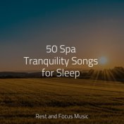 50 Spa Tranquility Songs for Sleep