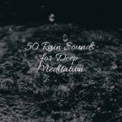 50 Rain Sounds for Deep Meditation