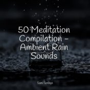 50 Meditation Compilation - Ambient Rain Sounds