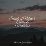 Sounds of Nature | Chakra & Meditation