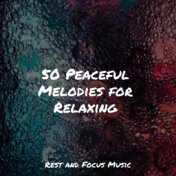 50 Peaceful Melodies for Relaxing