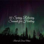 50 Spring Relaxing Sounds for Healing