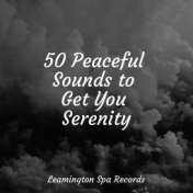 50 Peaceful Sounds to Get You Serenity