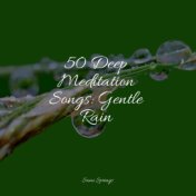 50 Deep Meditation Songs: Gentle Rain