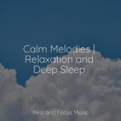 Calm Melodies | Relaxation and Deep Sleep