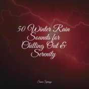 50 Winter Rain Sounds for Chilling Out & Serenity