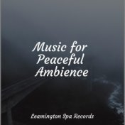 Music for Peaceful Ambience