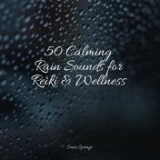 50 Calming Rain Sounds for Reiki & Wellness