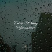 50 Sounds of Rain for Sleep and Serenity