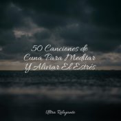 50 Canciones de Cuna Para Meditar Y Aliviar El Estrés