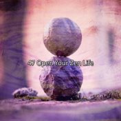 47 Open Your Zen Life