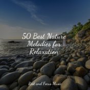 50 Best Nature Melodies for Relaxation