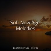 Soft New Age Melodies