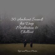 50 Ambient Sounds for Deep Meditation & Chillout