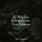 50 Melodías Reconfortantes Para Relajarse