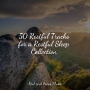 50 Restful Tracks for a Restful Sleep Collection
