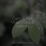 Calm & Soft Music | Spa & Serenity