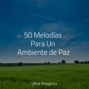 50 Melodías Para Un Ambiente de Paz