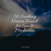 50 Soothing Nature Sounds for Spa & Meditation